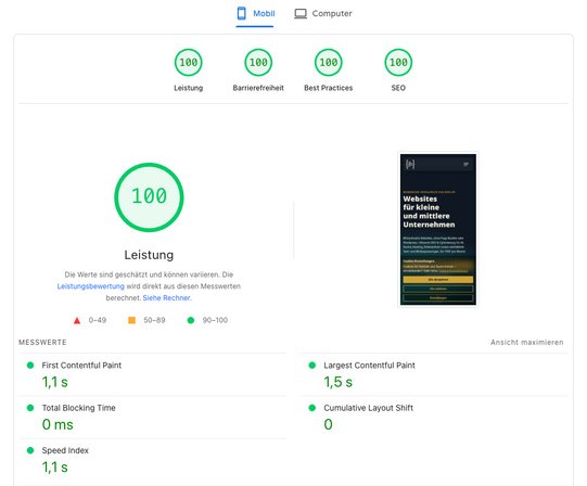 Screenshot des Ergebnisses der Google PageSpeed Insights für eine Website mit einem PageSpeed Score von 100